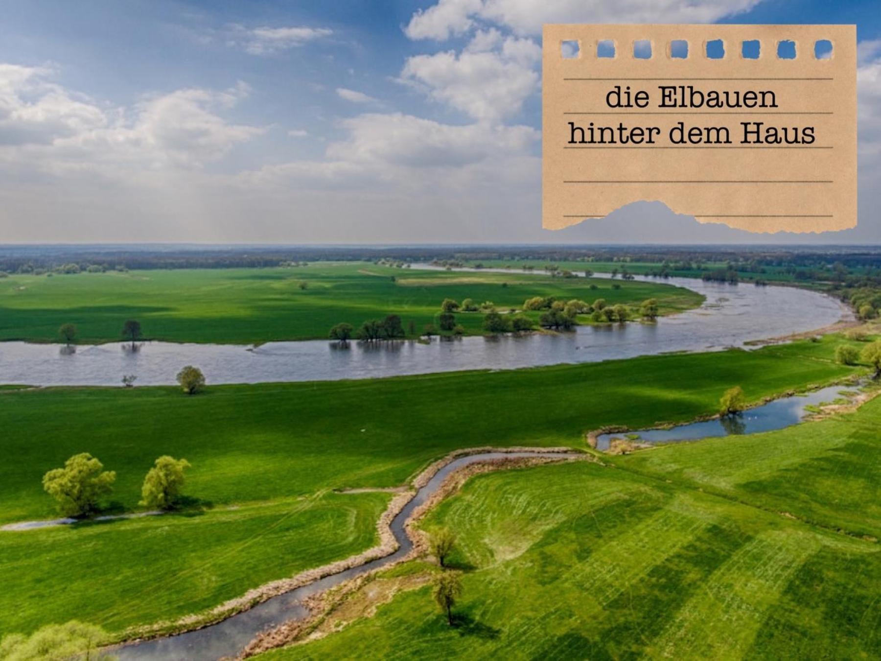 Alte Schule Wittenberg, 3 Ferienwohnungen Fuer Bis Zu 12 Personen, An Der Elbe, Mit Garten Esterno foto