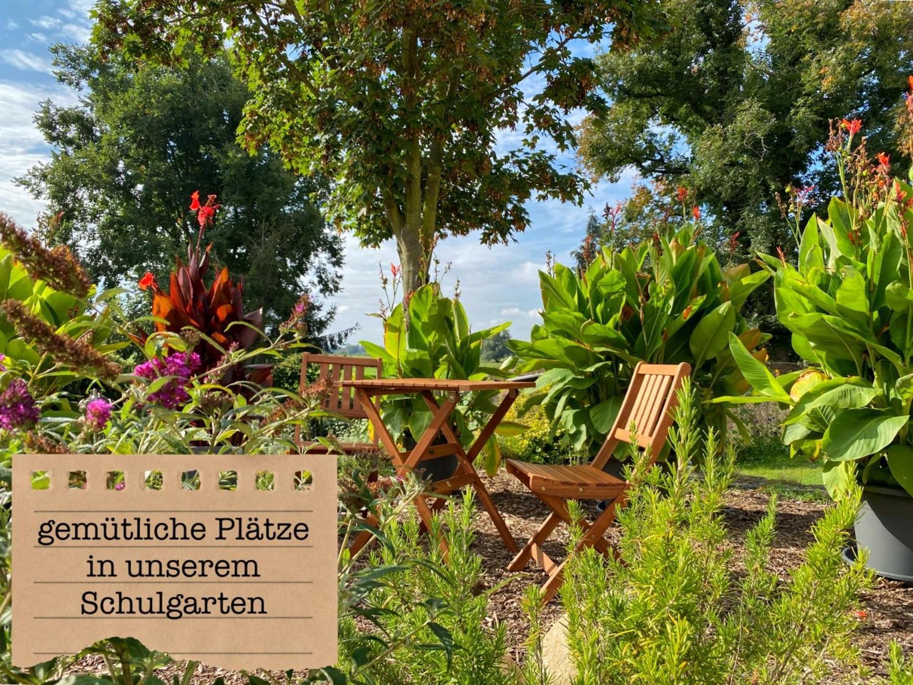 Alte Schule Wittenberg, 3 Ferienwohnungen Fuer Bis Zu 12 Personen, An Der Elbe, Mit Garten Esterno foto