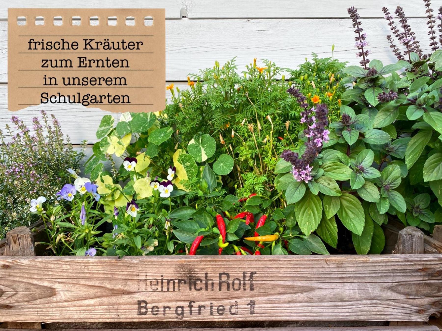 Alte Schule Wittenberg, 3 Ferienwohnungen Fuer Bis Zu 12 Personen, An Der Elbe, Mit Garten Esterno foto