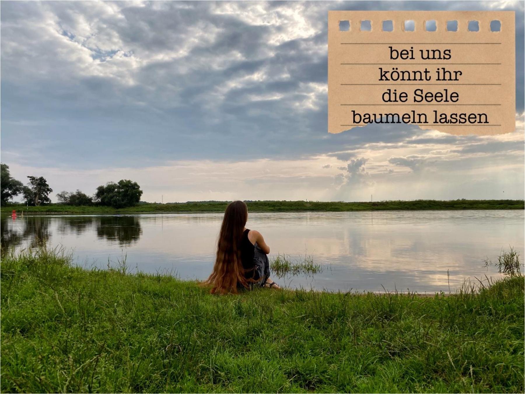 Alte Schule Wittenberg, 3 Ferienwohnungen Fuer Bis Zu 12 Personen, An Der Elbe, Mit Garten Esterno foto