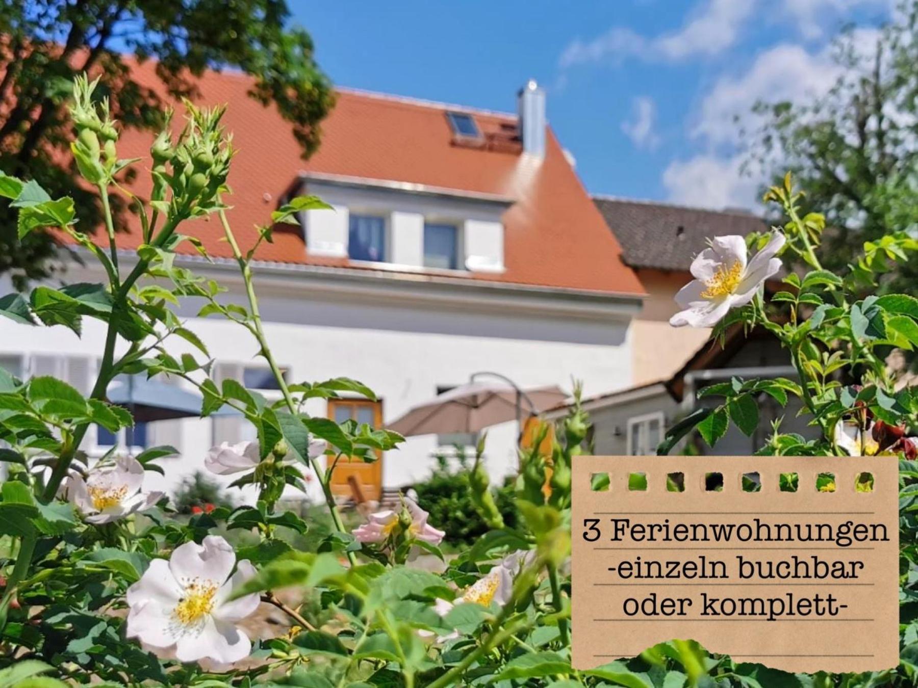 Alte Schule Wittenberg, 3 Ferienwohnungen Fuer Bis Zu 12 Personen, An Der Elbe, Mit Garten Esterno foto