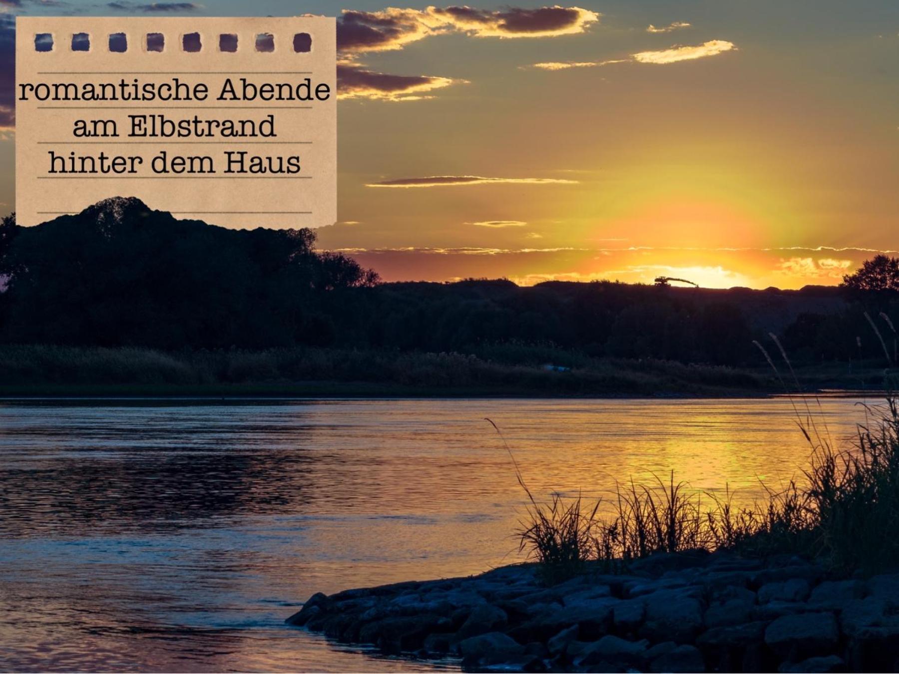 Alte Schule Wittenberg, 3 Ferienwohnungen Fuer Bis Zu 12 Personen, An Der Elbe, Mit Garten Esterno foto