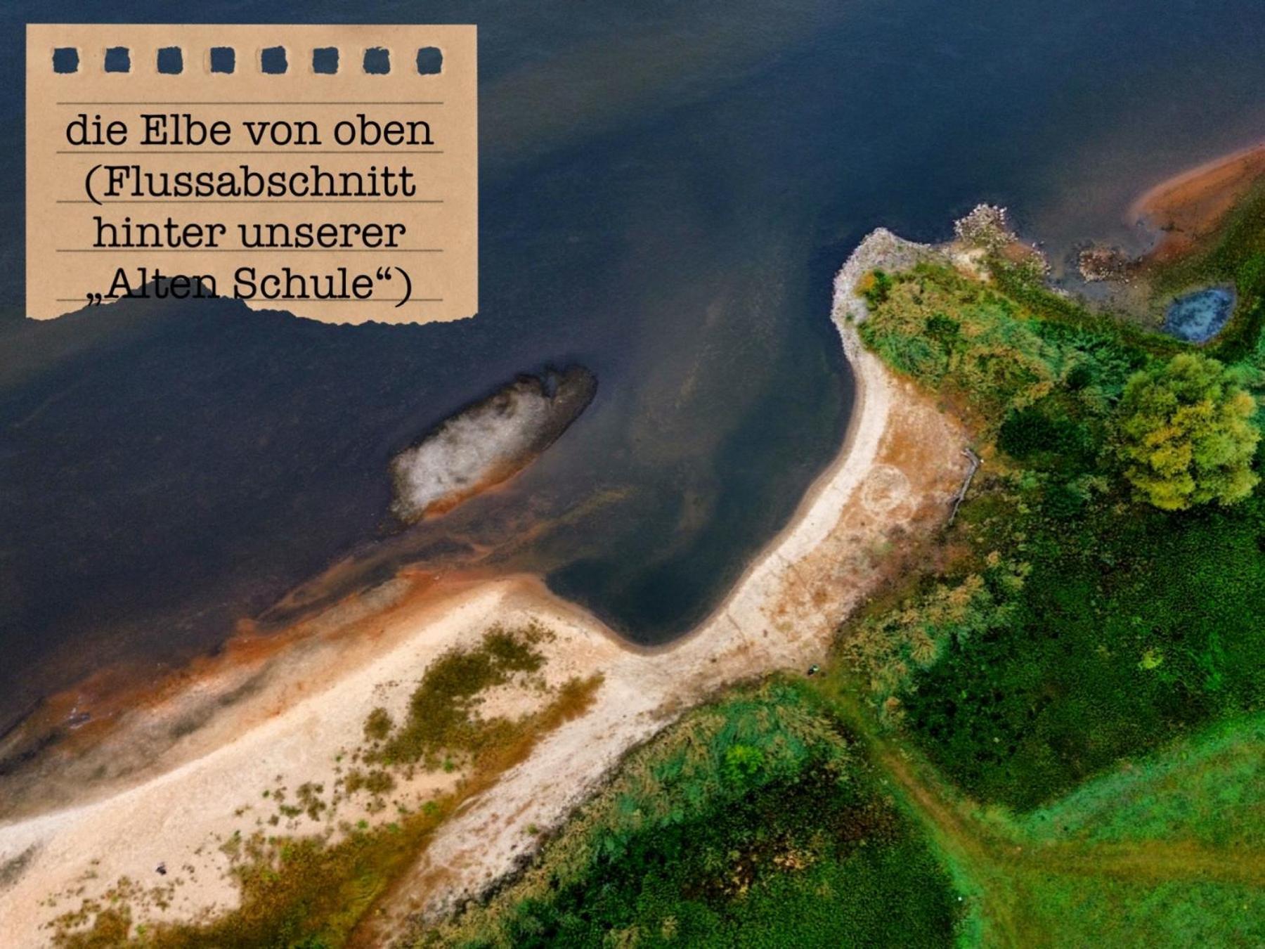 Alte Schule Wittenberg, 3 Ferienwohnungen Fuer Bis Zu 12 Personen, An Der Elbe, Mit Garten Esterno foto