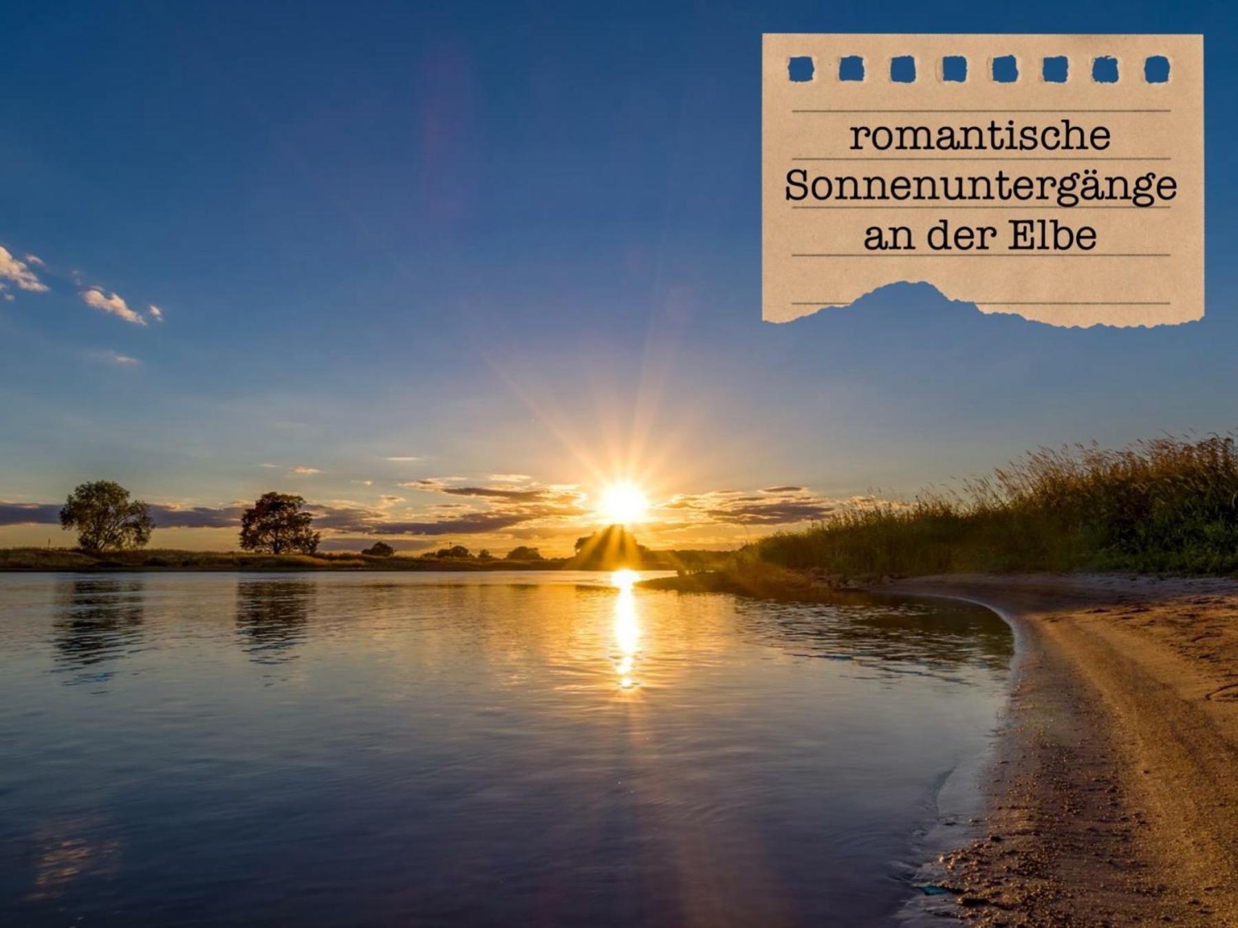 Alte Schule Wittenberg, 3 Ferienwohnungen Fuer Bis Zu 12 Personen, An Der Elbe, Mit Garten Esterno foto