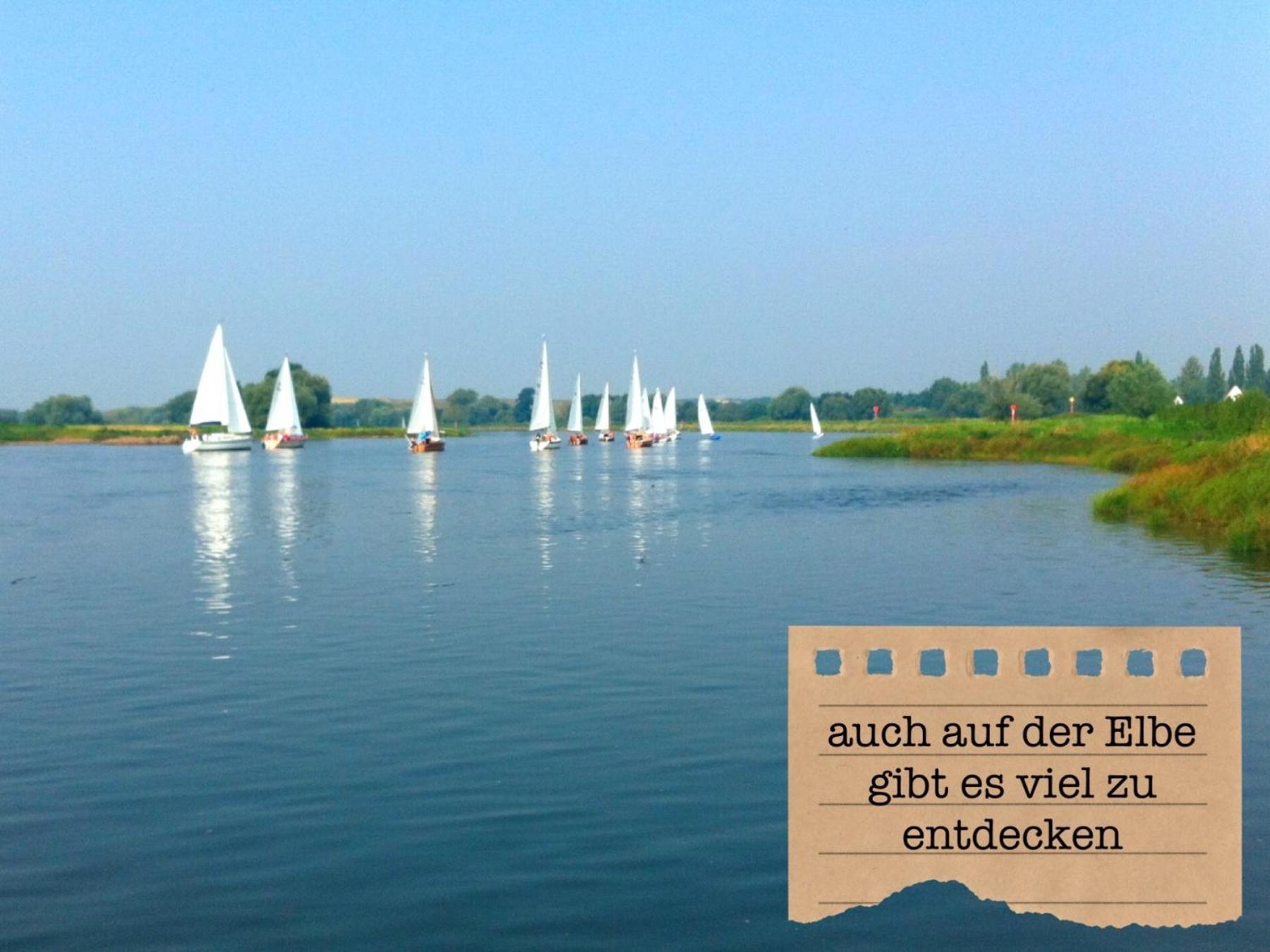 Alte Schule Wittenberg, 3 Ferienwohnungen Fuer Bis Zu 12 Personen, An Der Elbe, Mit Garten Esterno foto