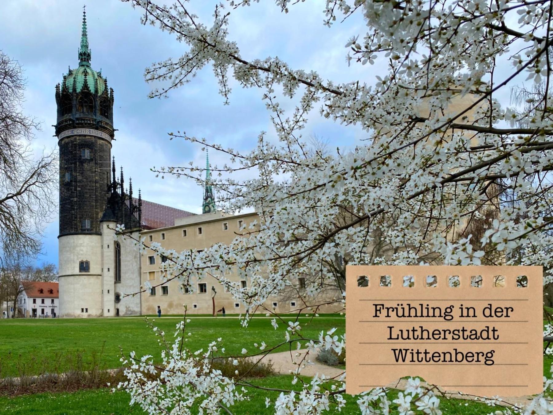 Alte Schule Wittenberg, 3 Ferienwohnungen Fuer Bis Zu 12 Personen, An Der Elbe, Mit Garten Esterno foto