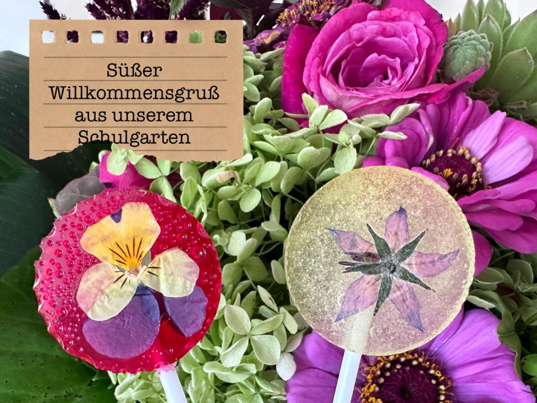 Alte Schule Wittenberg, 3 Ferienwohnungen Fuer Bis Zu 12 Personen, An Der Elbe, Mit Garten Esterno foto